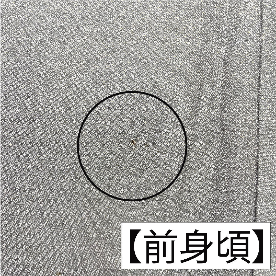 訪問着 正絹 袷 身丈159.5cm 裄丈64.5cm 紫鼠色（むらさきねずいろ） 辻ヶ花 金通し Aランク グレー系 1112005063322