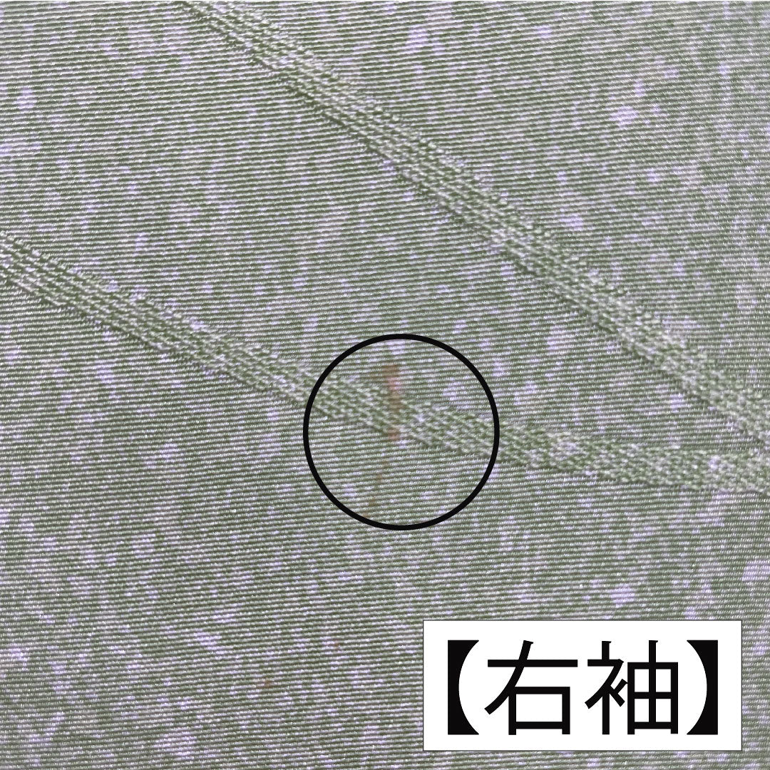 訪問着 正絹 袷 身丈158.5cm 裄丈62.5cm 黄緑色（きみどりいろ） 草花模様 濡れ描き友禅 Aランク 緑系 1112005763319