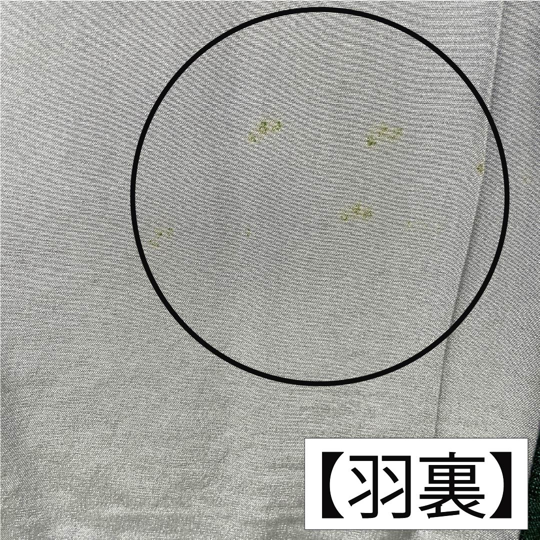 男物 正絹 Aランク 身丈cm 裄丈cm  藍鉄色（あいてついろ） ひげ紬 緑系 1119001123119