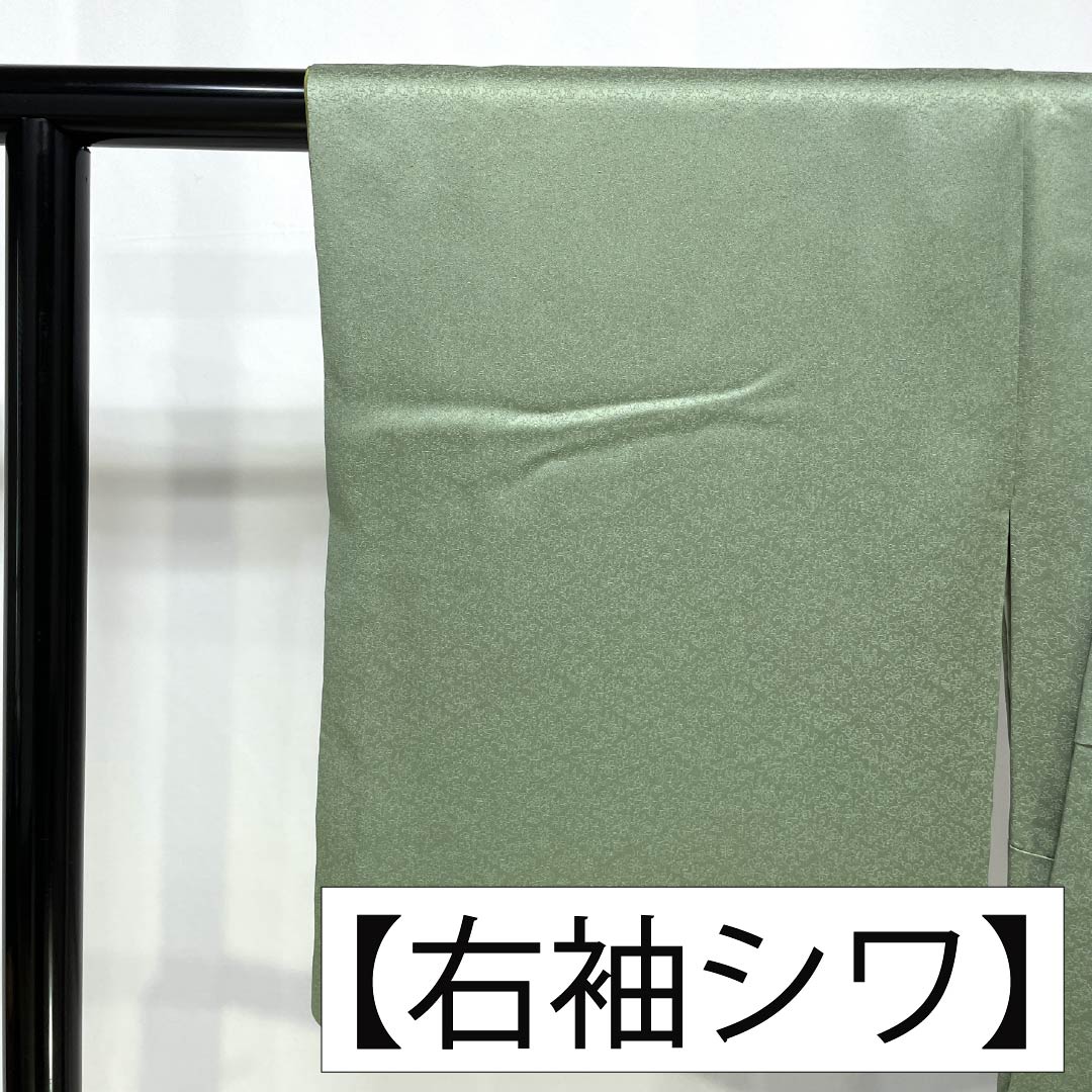 訪問着 正絹 Aランク 袷 身丈155cm 裄丈58.5cm 裏葉色（うらはいろ） 螺鈿煌彩 金彩加工 吉祥文様 丹後ちりめん 八丁水撚り 緑系 1112007423319