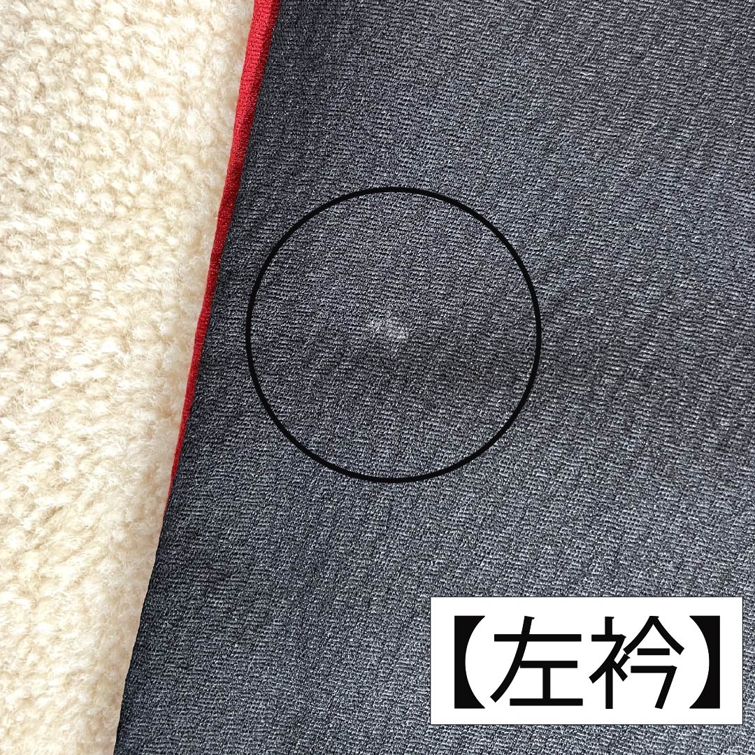 振袖 正絹 Aランク 身丈156.5cm 裄丈64cm 袷 生臙脂色（しょうえんじいろ） 京友禅 型染 梅 モダン さわやかガード 赤系 1113002943312