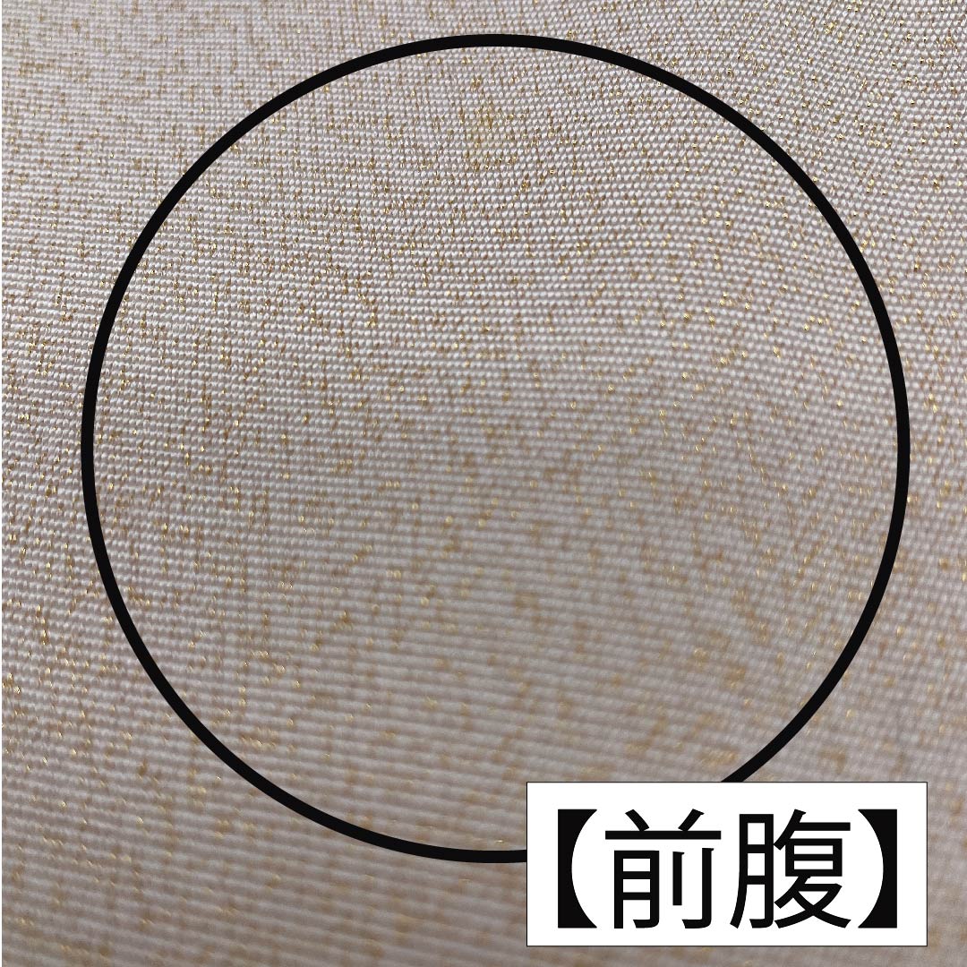 袋帯 正絹 薄肉色（うすにくいろ） 雲取り 帯丈366cm Bランク ポイント柄 フォーマル クリーム系 1123011744315