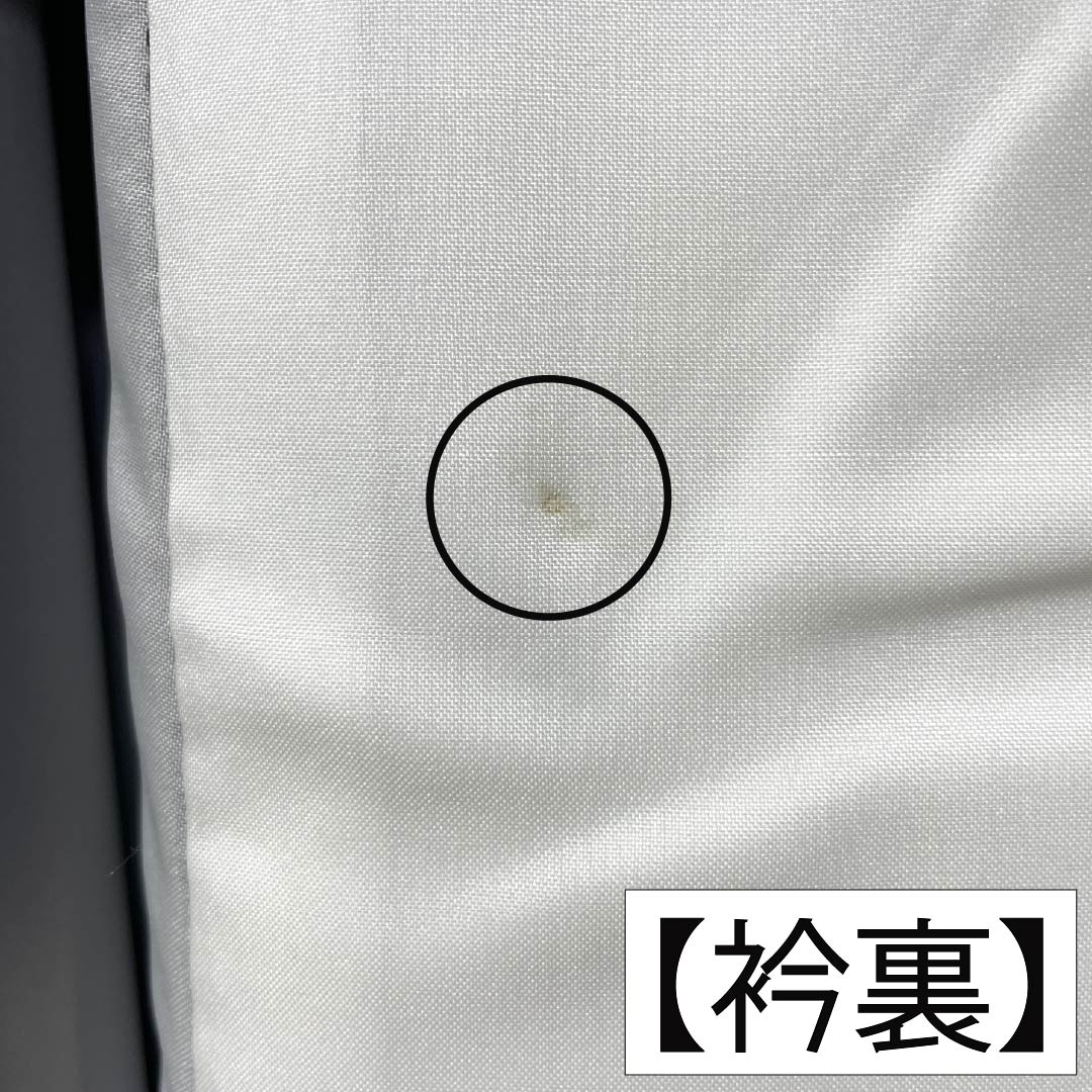 Black Tomesode (Japanese Kimono) - Pure Silk, S Rank, Length 163cm, Sleeve Length 66.5cm, Lined, Kyoto Yuzen, Five Crests, Paulownia, Crane, Noshi, Pine, Plum, Black, 1111002102410