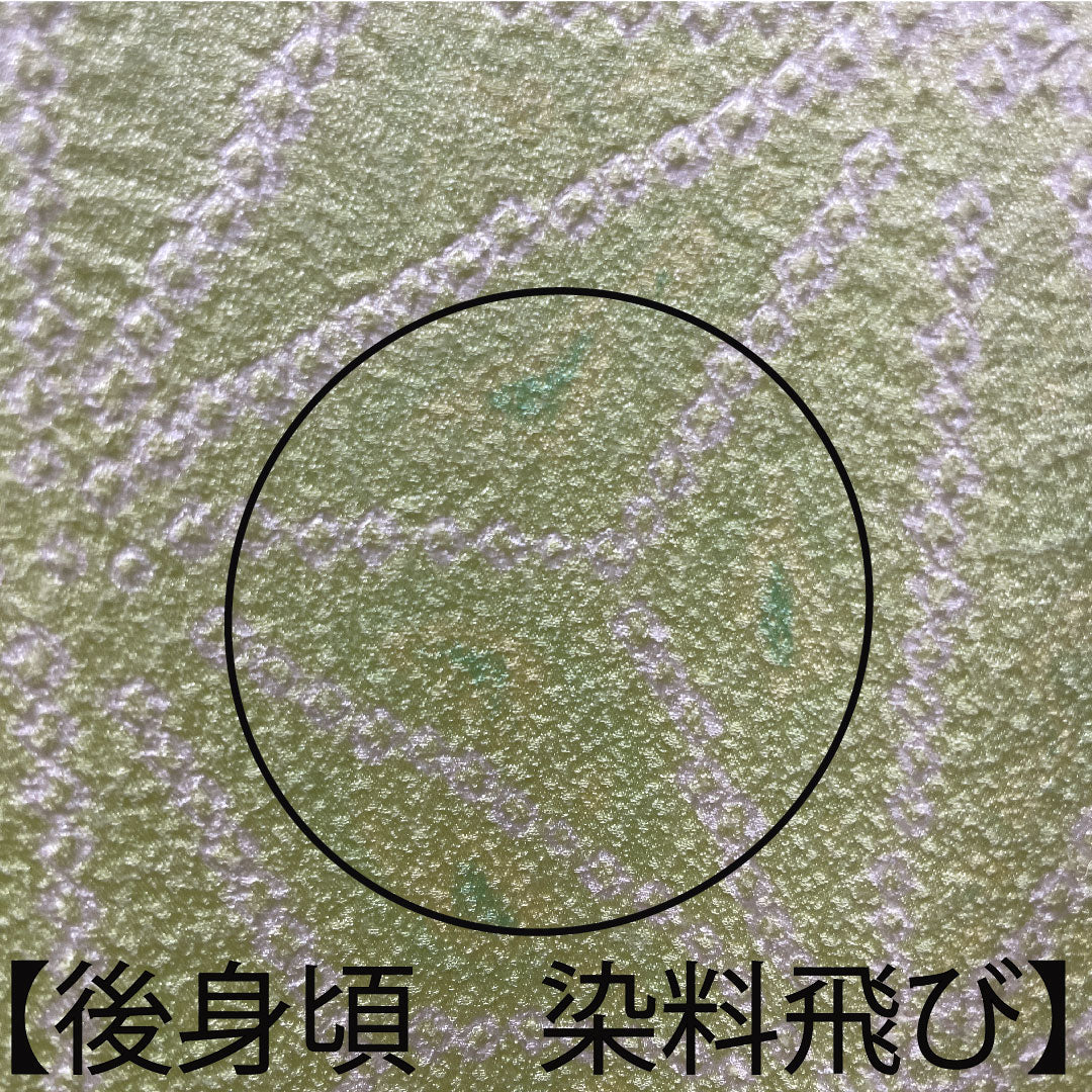 Homongi, pure silk, lined, length 162.5cm, sleeve length 62cm, young bud color, embroidery, tie-dye, hemp leaf, A rank, green, 1112003433419