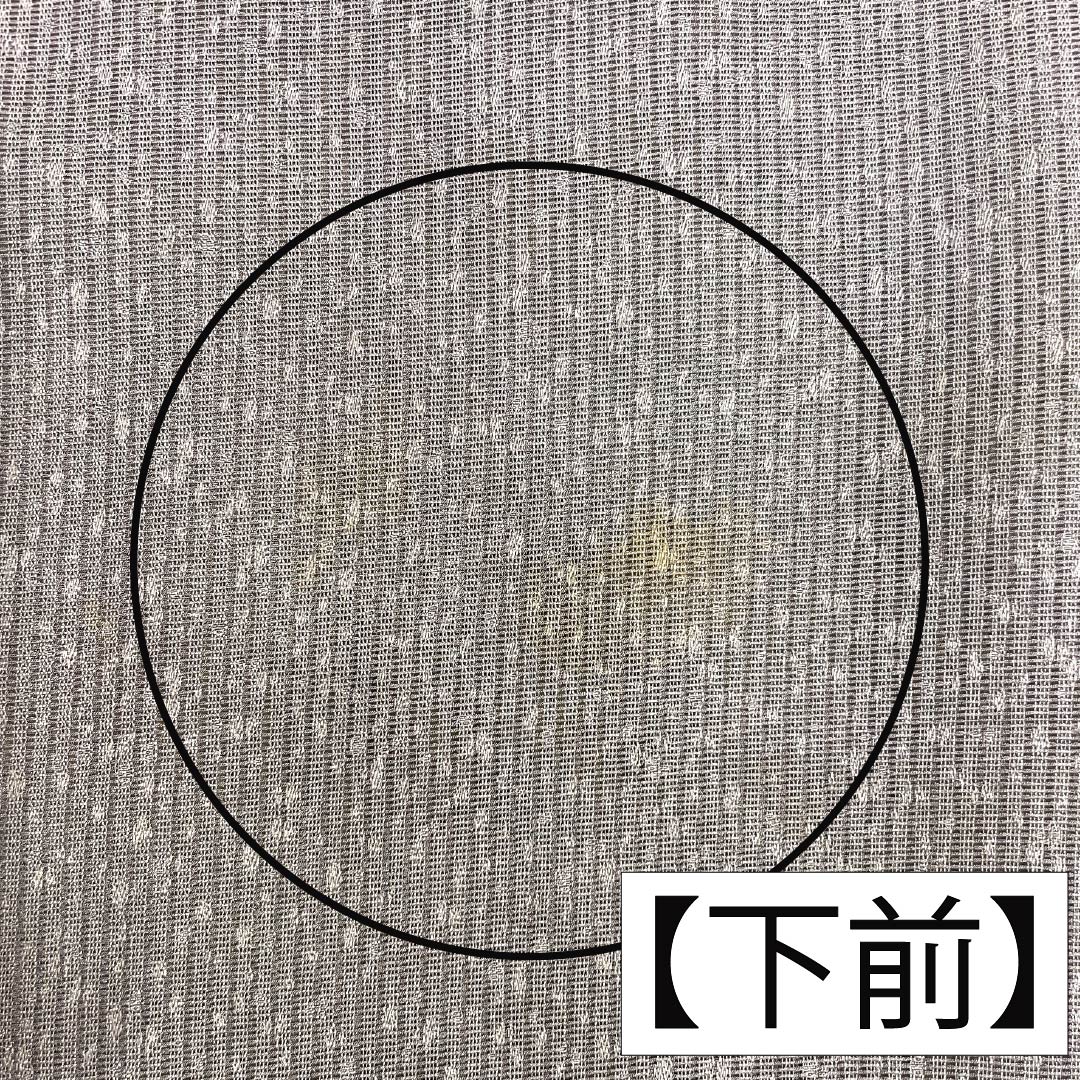 夏物 正絹 訪問着 Bランク 身丈165.5cm 裄丈65cm 都鼠色（みやこねずいろ） 京友禅 タタキ染 秋草 絽 茶系 1132005104514