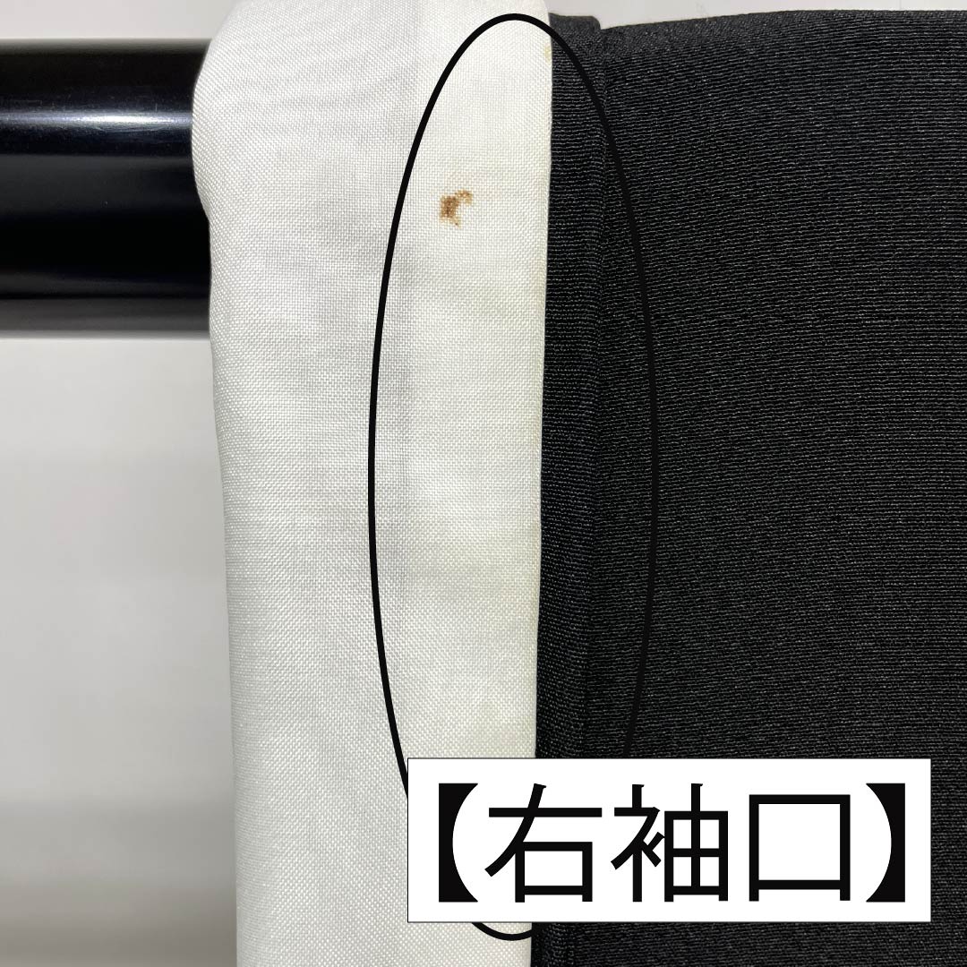 黒留袖 ポリエステル Bランク 身丈162cm 裄丈65.5cm 袷 京友禅 五つ紋 揚羽蝶 地紙 扇面 草花 洗える着物 五つ紋 黒系 1111001884410