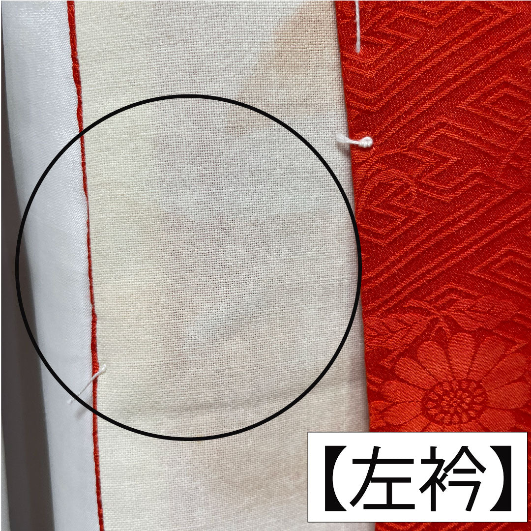 Homongi (formal kimono) made of polyester, lined, length 159cm, sleeve length 63cm, cherry blossom color, washable kimono, fan, half-collar included, S rank, pink, 1112004382313