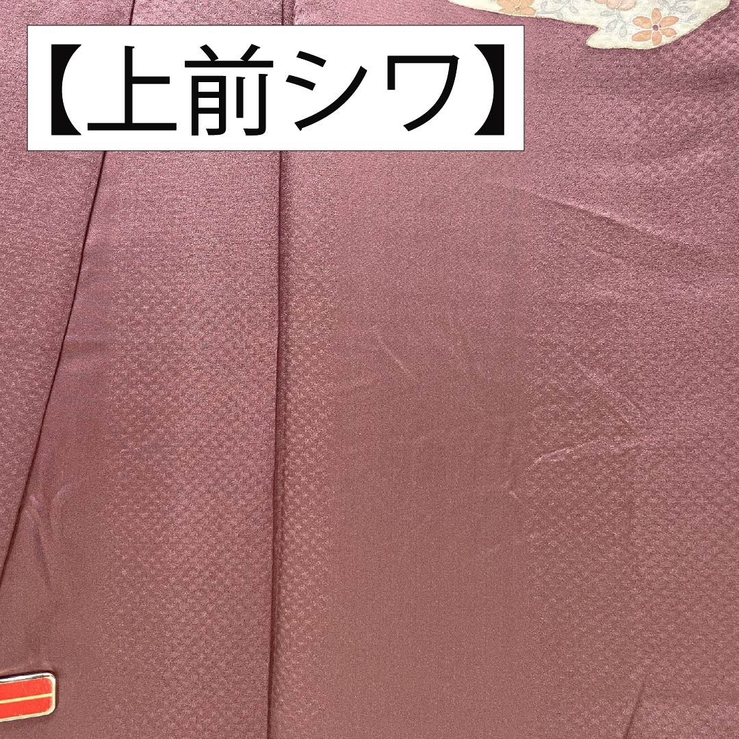 Visiting Kimono, Pure Silk, S Rank, Lined, Length 162.5cm, Sleeve Length 62cm, Benitobiiro (Red Tobiiro) with Kyoto Yuzen Auspicious Motifs, Red Tsukesage, Product Number 1112006572412