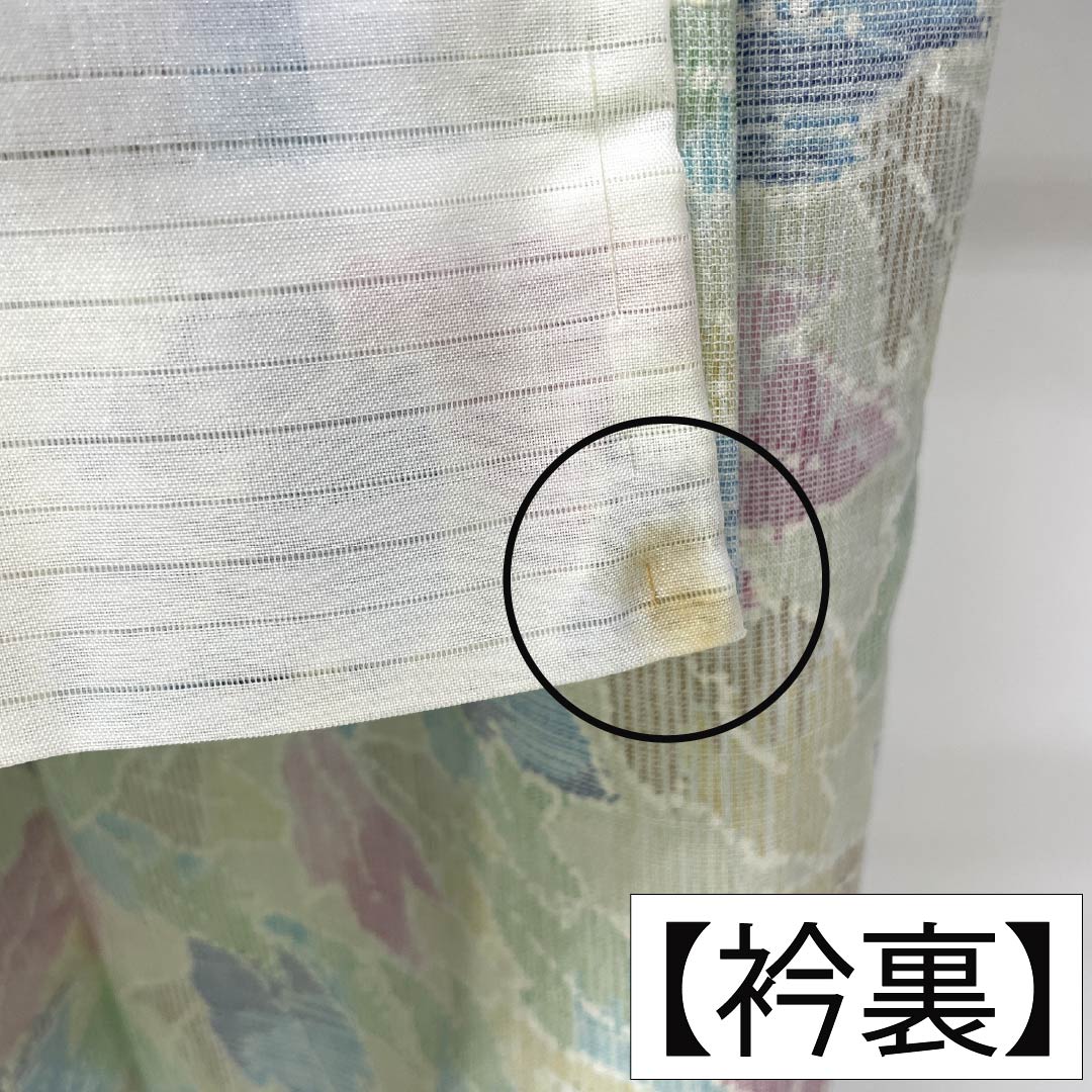 夏物 ポリ70%・毛30% 小紋 Sランク 身丈151.5cm 裄丈64cm 薄緑色（うすみどりいろ） 草葉模様 紗 緑系 1132007142219