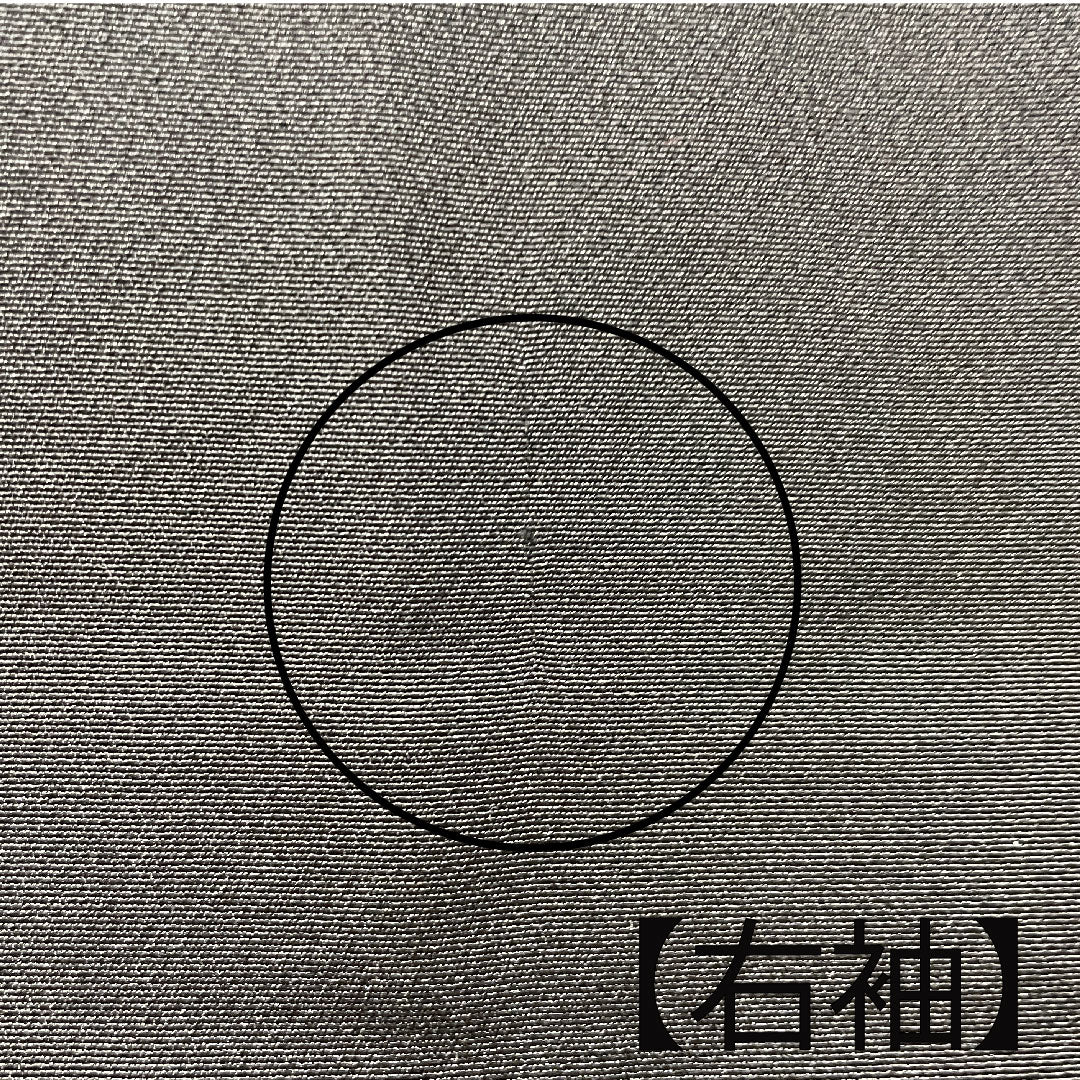 黒留袖 身丈163.5cm 裄丈62.5cm 袷 京友禅 吉祥文様 丸に抱き沢瀉 正絹 Aランク 五つ紋 黒系 1111000633410