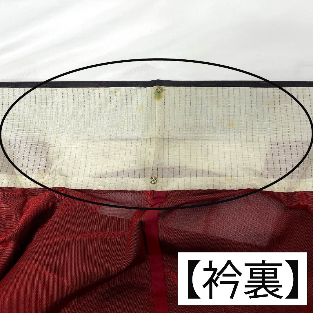 夏物 正絹 お召 Bランク 身丈155.5cm 裄丈62.5cm 暗紅色（あんこうしょく） 露芝 草花模様 紗 赤系 1132004264312