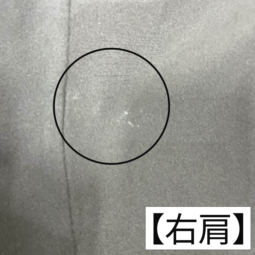 黒留袖 正絹 Aランク 身丈166.5cm 裄丈66.5cm 袷 京友禅 時代人物風景模様 五つ紋 木瓜 比翼付き 五つ紋 黒系 1111002353510