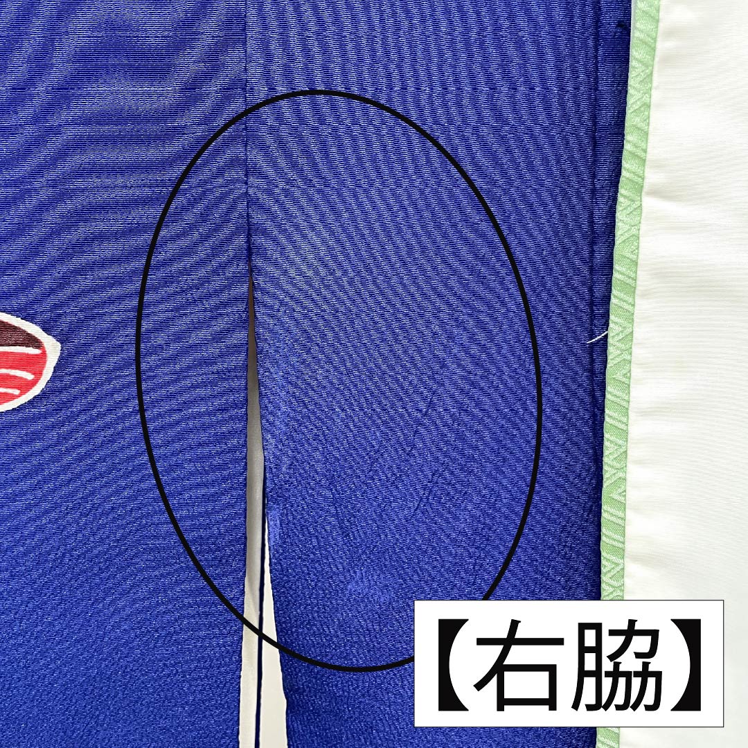 訪問着 正絹 Bランク 袷 身丈167.5cm 裄丈64.5cm 瑠璃色（るりいろ） 京紅型 紅型調 風景模様 半衿付き 青系 1112006684517