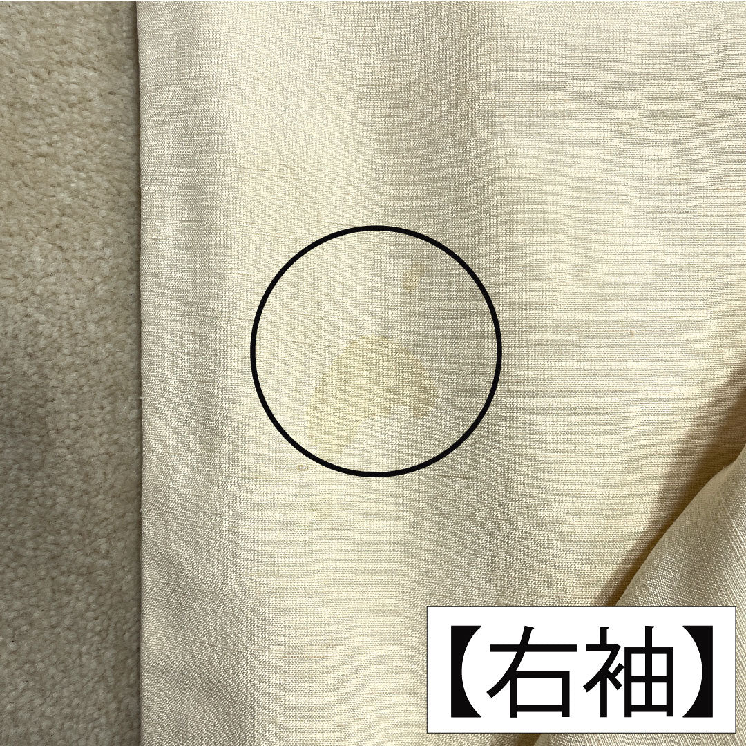 色留袖 正絹 身丈159.5cm 裄丈65.5cm 袷 練色（ねりいろ） 紬地 手描き友禅 富士山 Aランク クリーム系 1111001323315