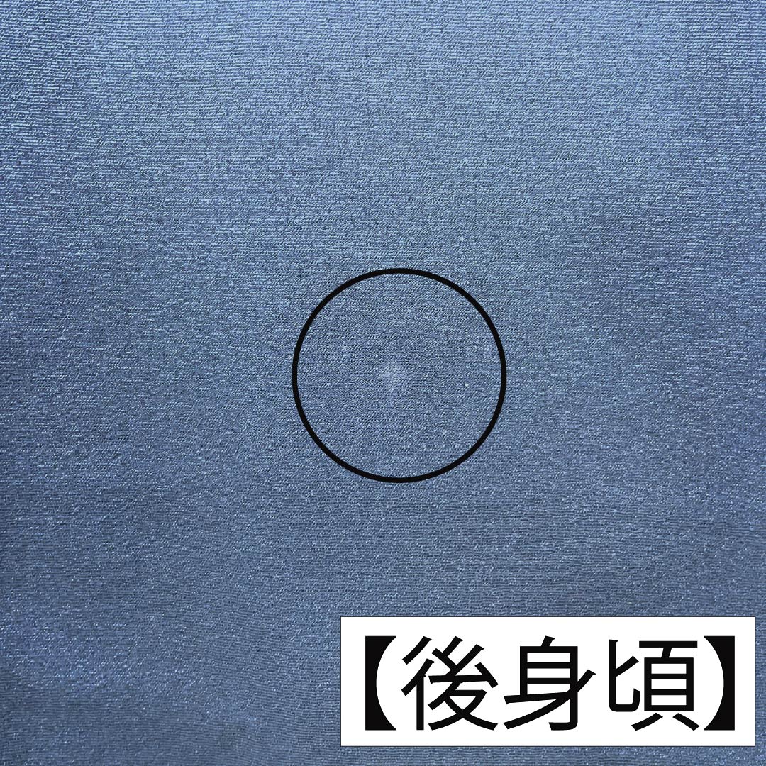 振袖 正絹 Aランク 身丈161cm 裄丈62.5cm 袷 印度藍色（いんどあいいろ） 京友禅 牡丹 紅葉 紺系 1113002833418