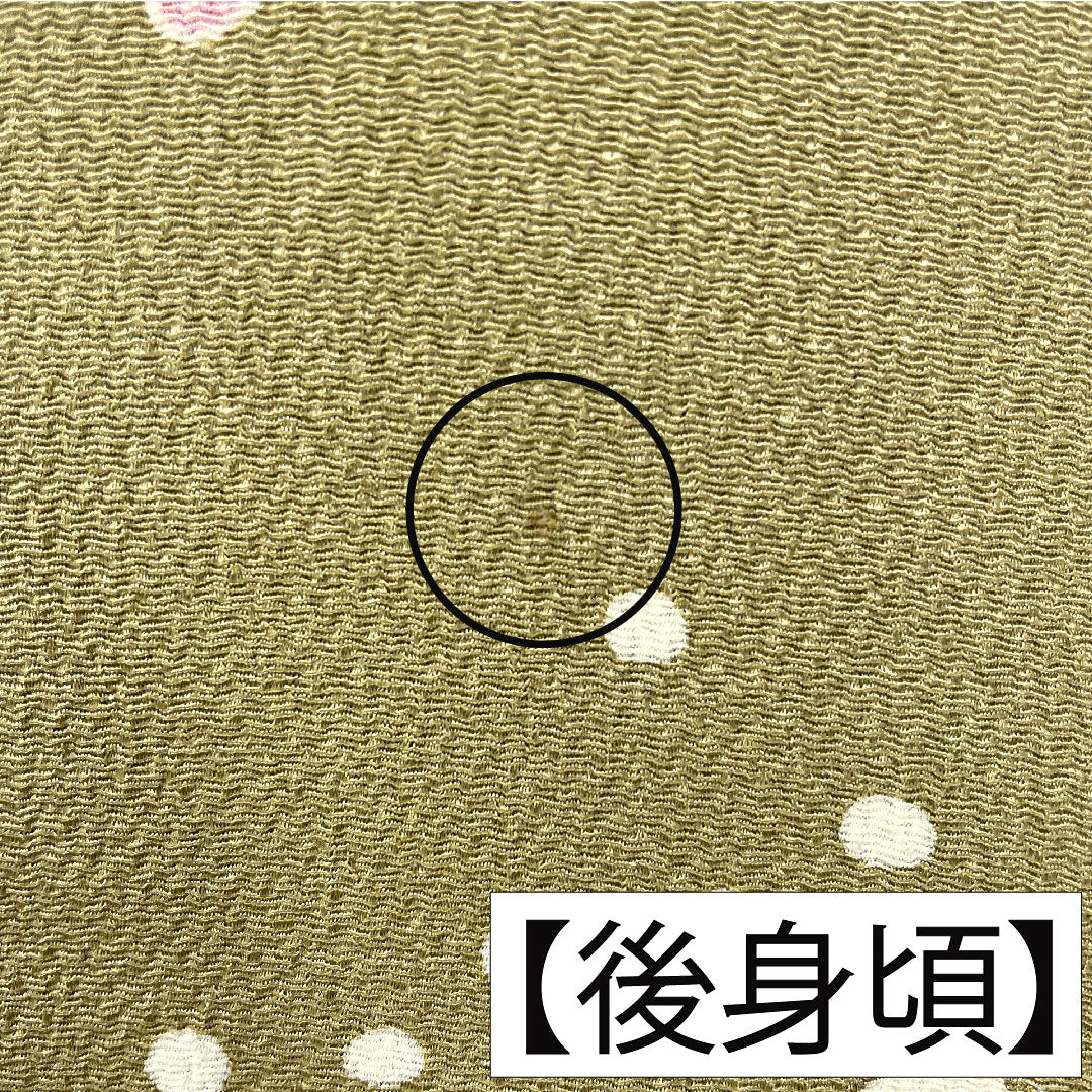 Homongi, pure silk, lined, length 155.5cm, sleeve length 67.5cm, Karakaneiro, Kyoto Yuzen, crepe, floral pattern, A rank, green, 1112005953319