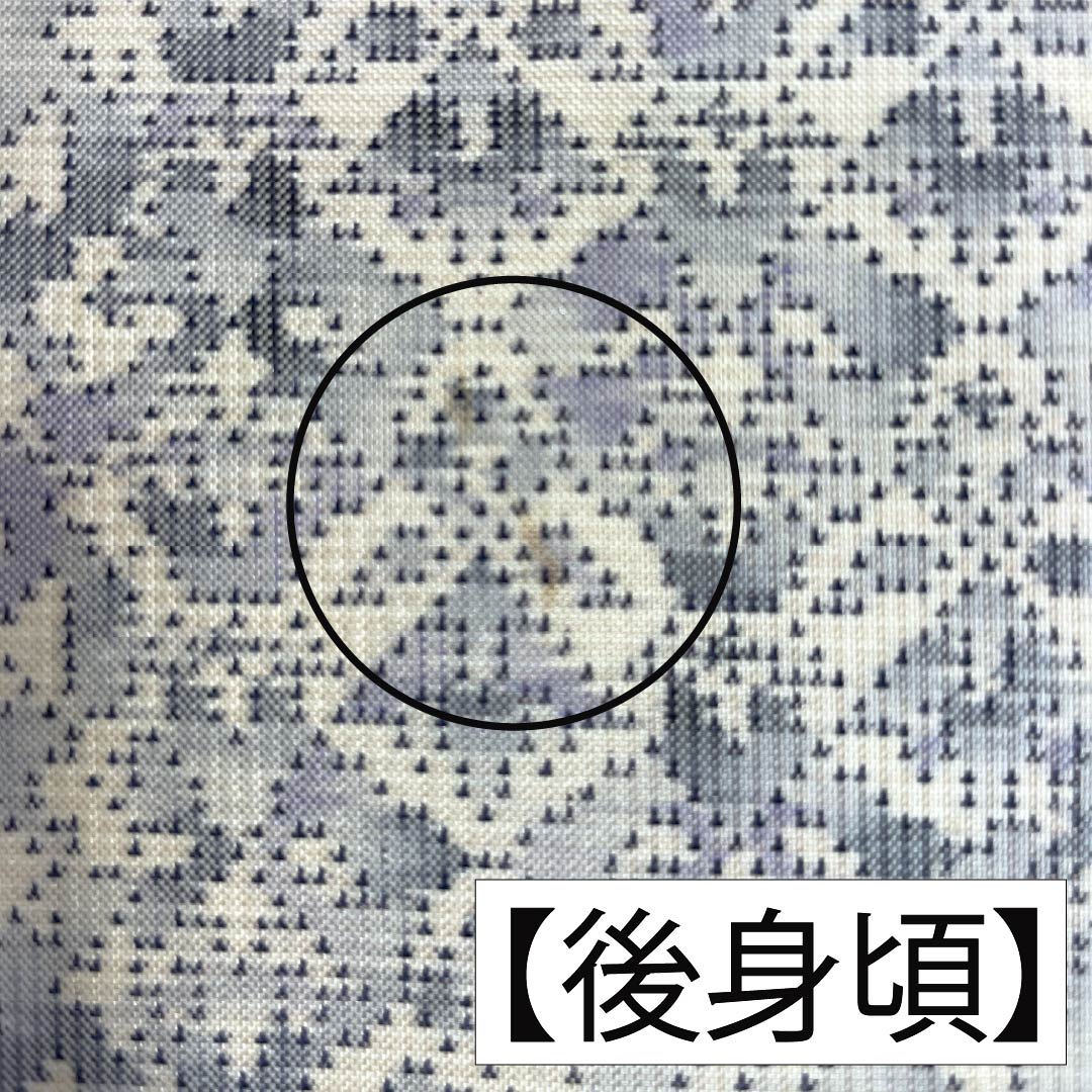 紬 正絹 Sランク 身丈169cm 裄丈66cm 白大島 恵大島紬織物 美術大島 袷 白系 1116005032511