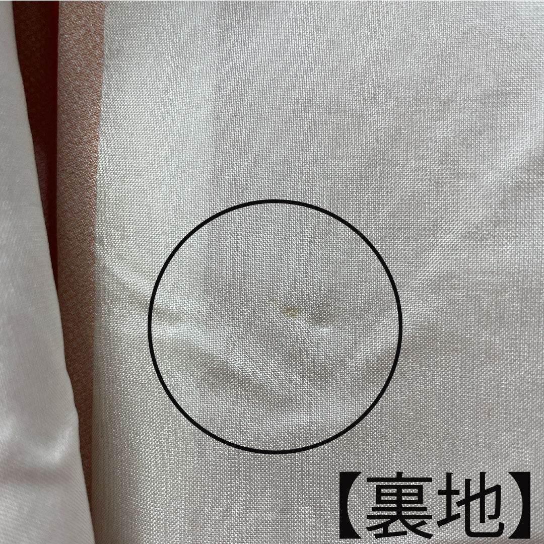 小紋 正絹 身丈160cm 裄丈63.5cm 単衣  鉛丹色 江戸小紋 行儀  Aランク 橙系 1115003663426