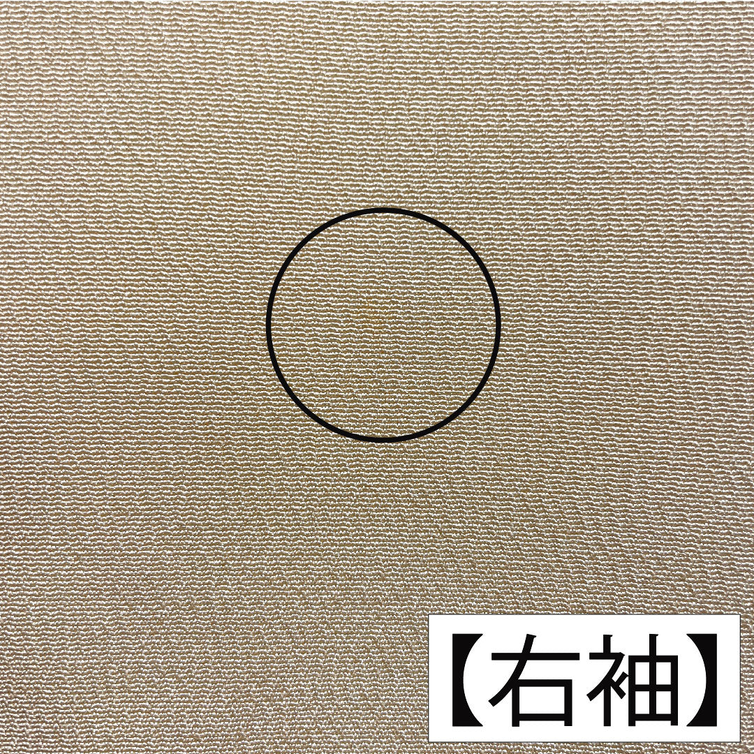 訪問着 正絹 袷 身丈161.5cm 裄丈66.5cm 肌色（はだいろ） 相良刺繡 扇子 鶴 一つ紋 上り藤に大の字 Aランク 橙系 1112005563426