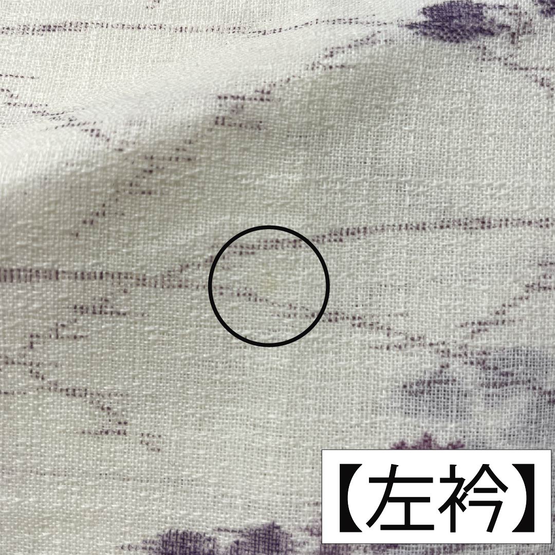 Summer linen tsumugi (pongee) kimono, length 165cm, sleeve length 69cm, milky white (nyuhakushoku) Ojiya-chijimi (Ojiya-style silk) with floral and gauze patterns, rank A, white, product number 1132002683511