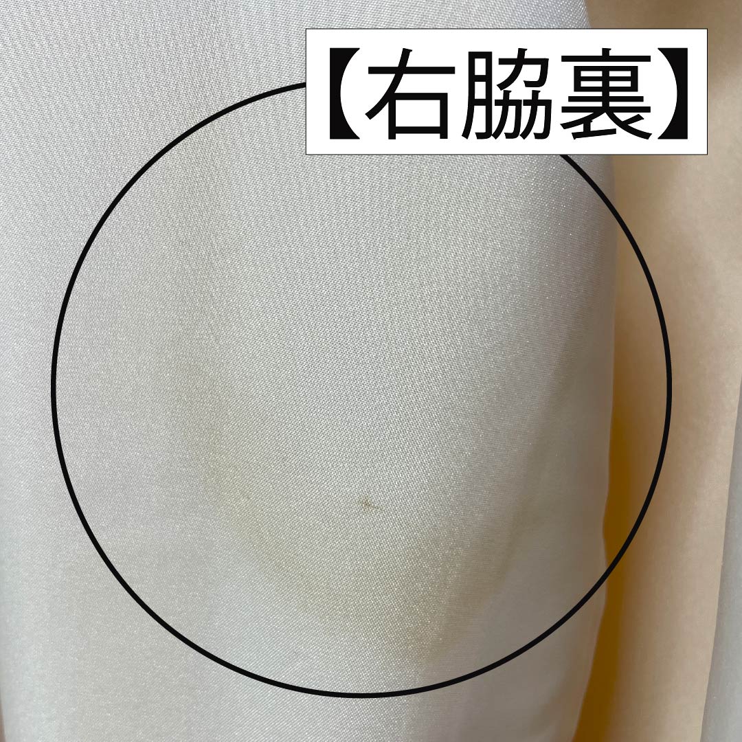 訪問着 正絹 Aランク 袷 身丈166.5cm 裄丈62.5cm 薄柿色（うすがきいろ） 京友禅 椿 橙系 1112006363526