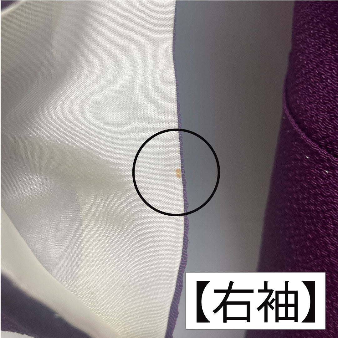 Homongi, pure silk, lined, length 158.5cm, sleeve length 64.5cm, light purple, Kyoto Yuzen, chrysanthemum, iris, crepe, A rank, purple, 1112005173320