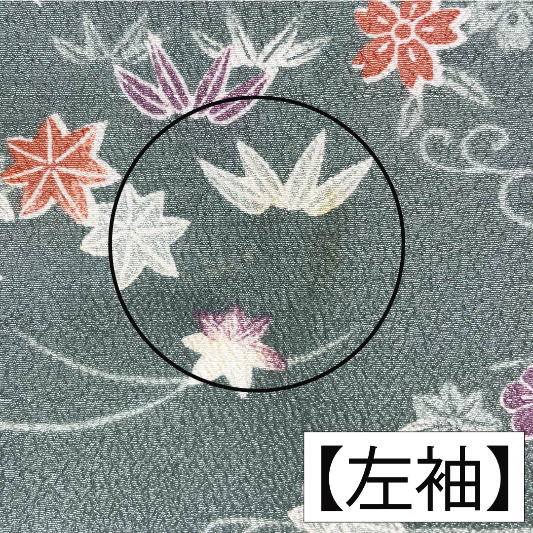 小紋 ポリエステル 身丈158.5cm 裄丈63cm 袷 山藍摺色（やまあいずりいろ） 洗える着物 草木模様 Aランク 緑系 1115005143319