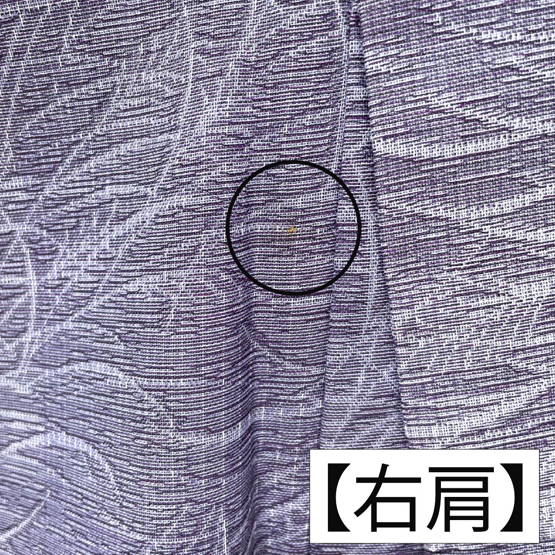 夏物 ポリエステル お召 Aランク 身丈158.5cm 裄丈63.5cm 二藍色（ふたあいいろ） ススキ 紗 紫系 1132004813320