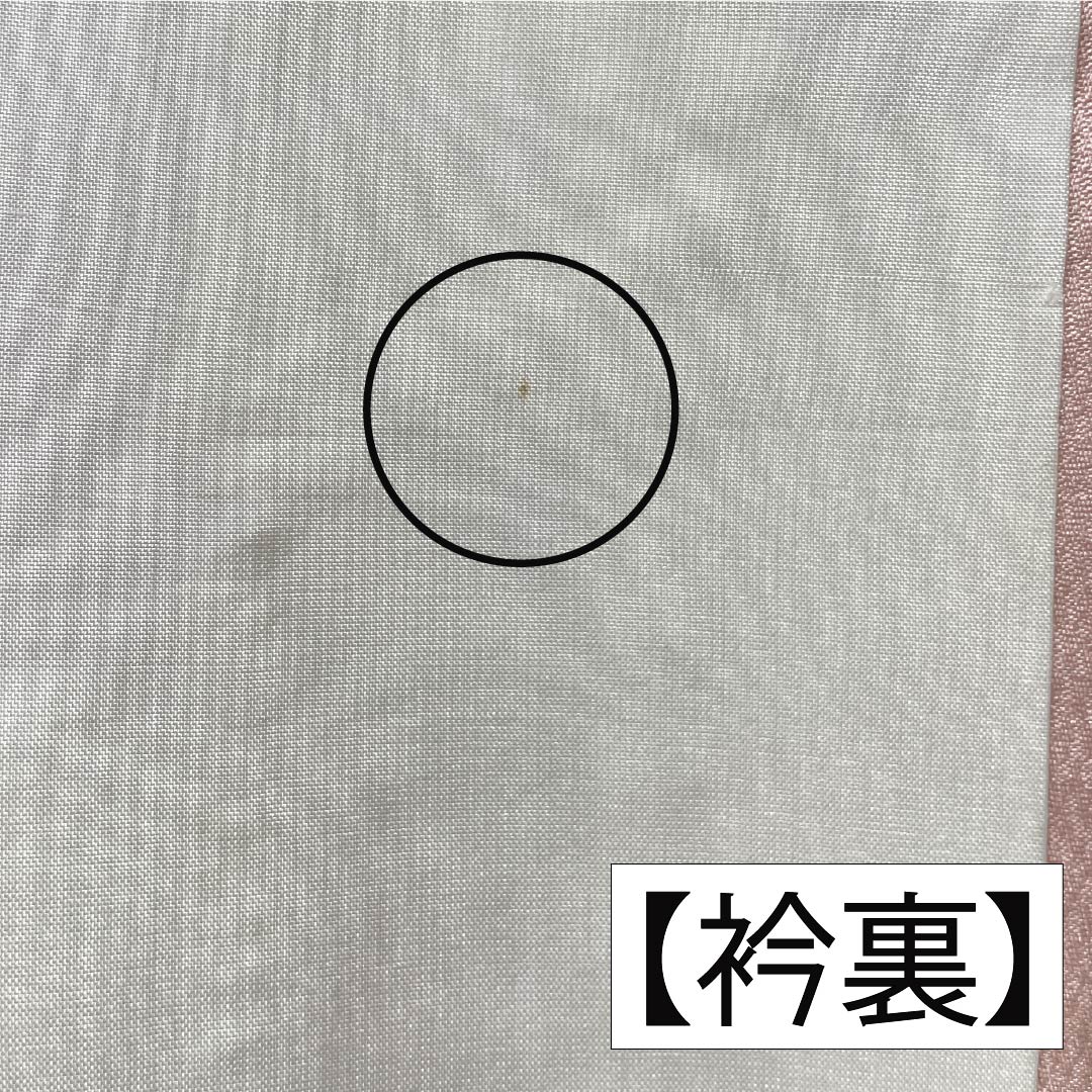 訪問着 正絹 Aランク 袷 身丈166cm 裄丈61.5cm 乙女色（おとめいろ） 京友禅 刺繍 草花 ピンク系 1112006273513