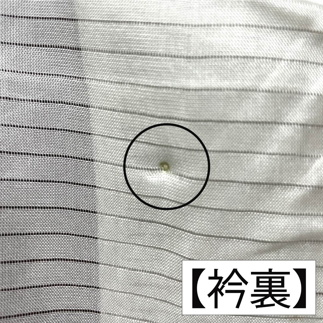 夏物 正絹 色無地 Sランク 身丈154.5cm 裄丈62cm 木蘭色（もくらんじき） 霞模様 五三桐 一つ紋 絽 紫系 1132003632220