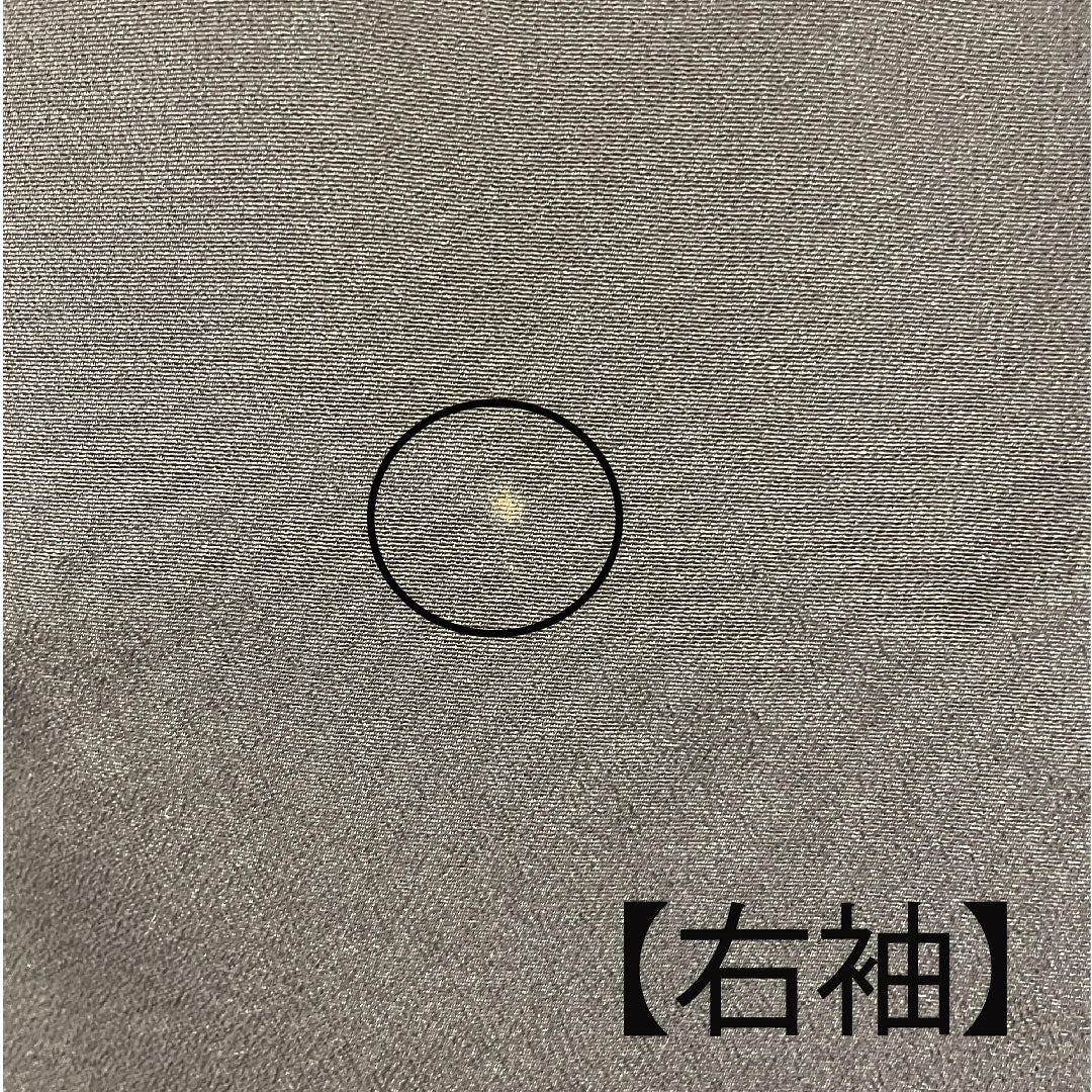 黒留袖 身丈155.5cm 裄丈61.5cm 袷 京友禅 鶴 片喰 正絹 Bランク 五つ紋 黒系 1111000344310