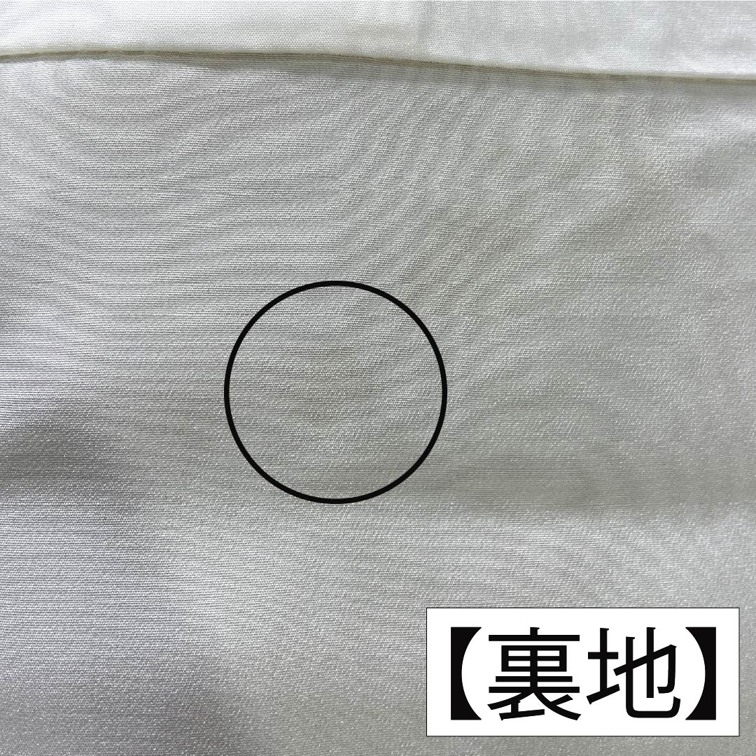 リサイクル着物】訪問着 正絹 Aランク 袷 身丈160cm 裄丈62.5cm 丁子