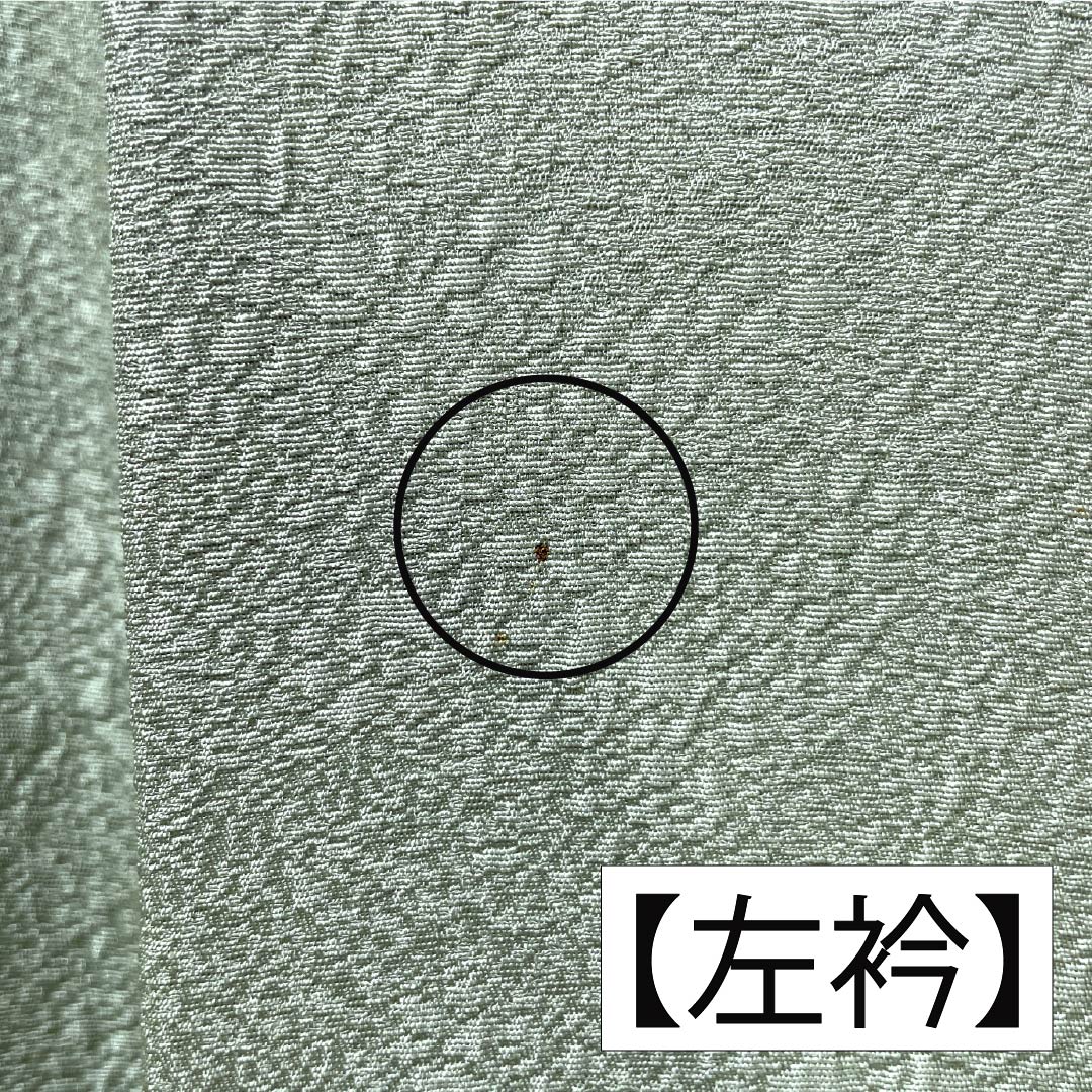 色無地 正絹 Aランク 身丈156cm 裄丈64cm 龍泉青瓷釉色（ロンチュエンチンツーユースーいろ） 一つ紋 割桐 縫い紋 袷 緑系 1114002563319