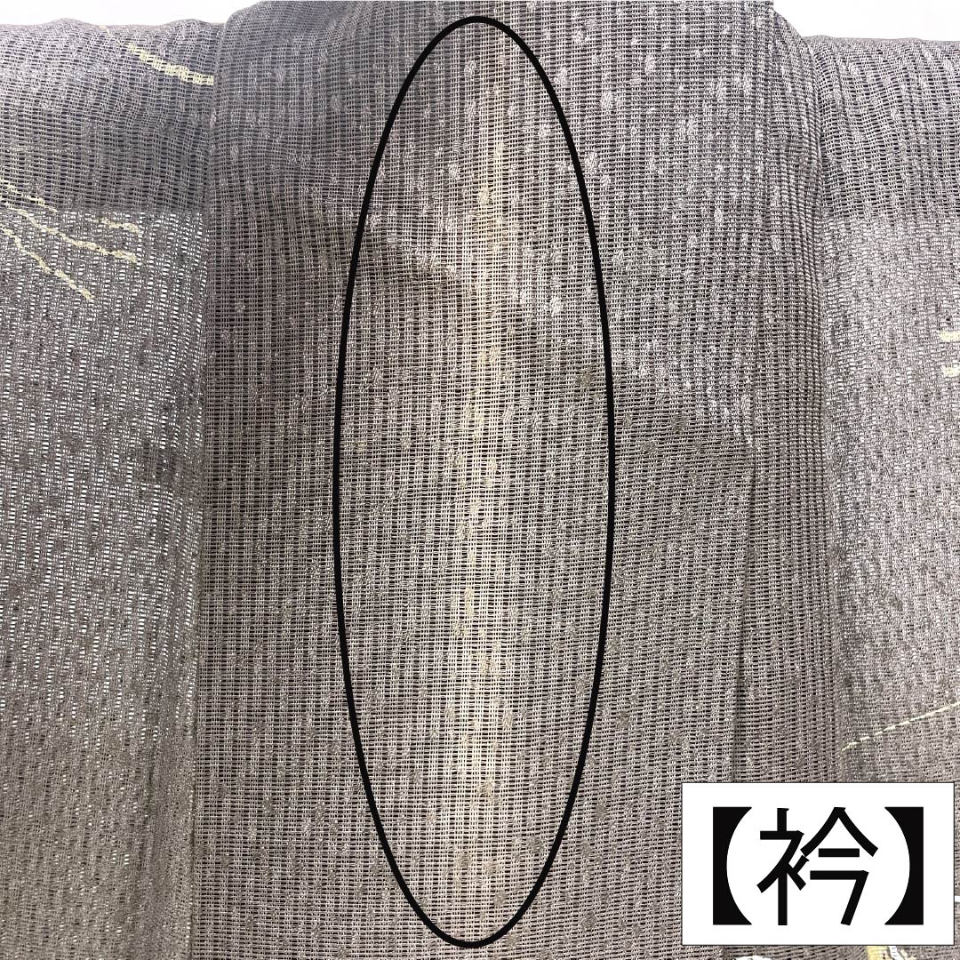 夏物 正絹 訪問着 Bランク 身丈165.5cm 裄丈65cm 都鼠色（みやこねずいろ） 京友禅 タタキ染 秋草 絽 茶系 1132005104514
