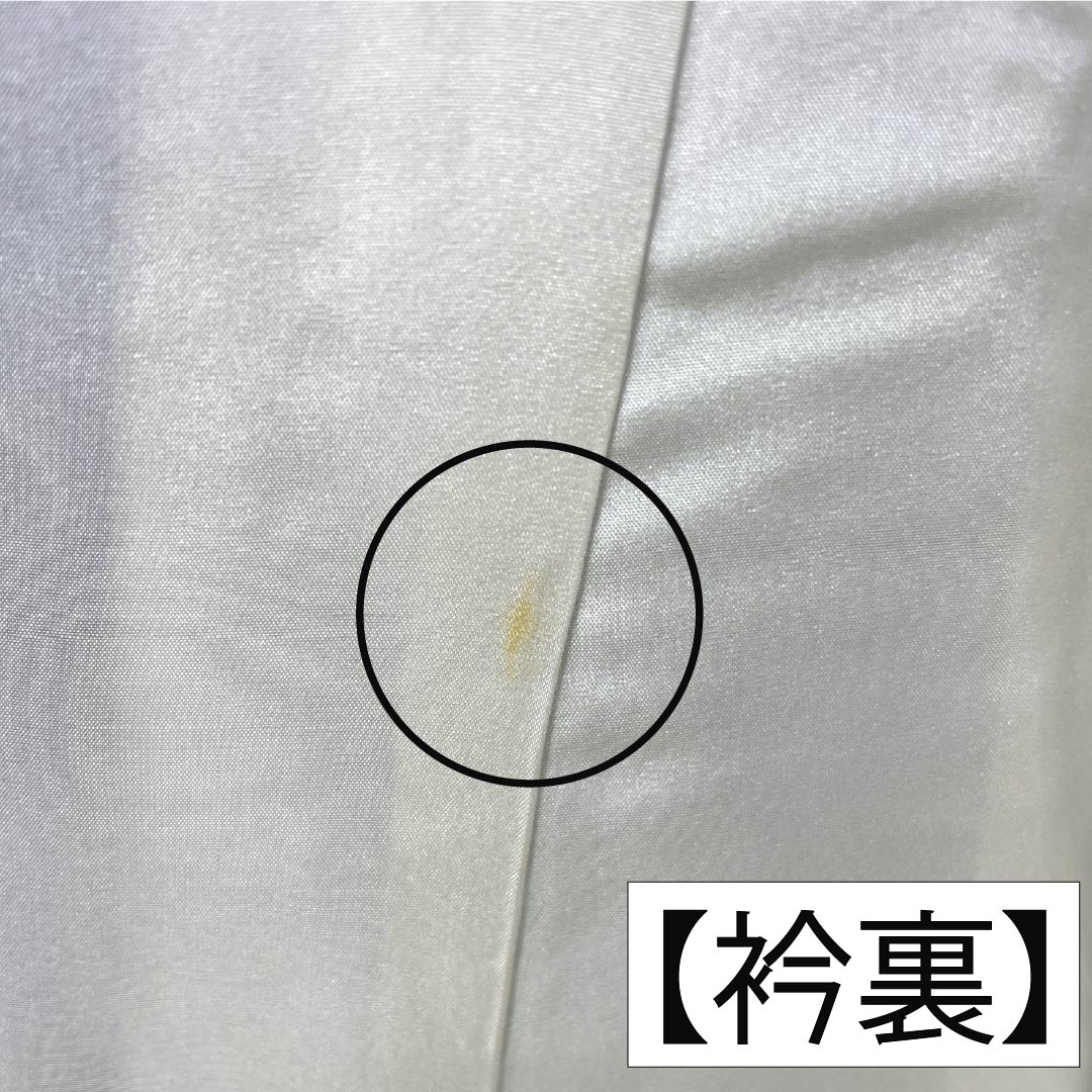 振袖 正絹 Aランク 身丈163cm 裄丈64cm 袷 青紫色（あおむらさきいろ） 京紅型 吉祥文様 三松シルクケア 青系 1113002823417