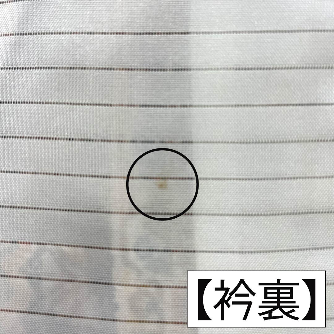 夏物 ポリエステル 小紋 Sランク 身丈162cm 裄丈66cm 雀色（すずめいろ） 洗える着物 民族文様 絽 茶系 1132005612414
