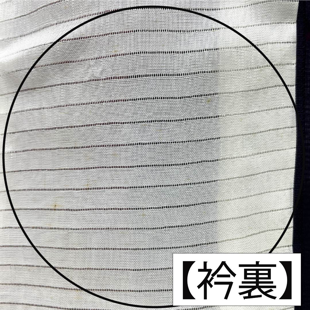 夏物 正絹 お召 Aランク 身丈151cm 裄丈64cm 紫黒色（しこくしょく） 草花模様 紗 紫系 1132004663220