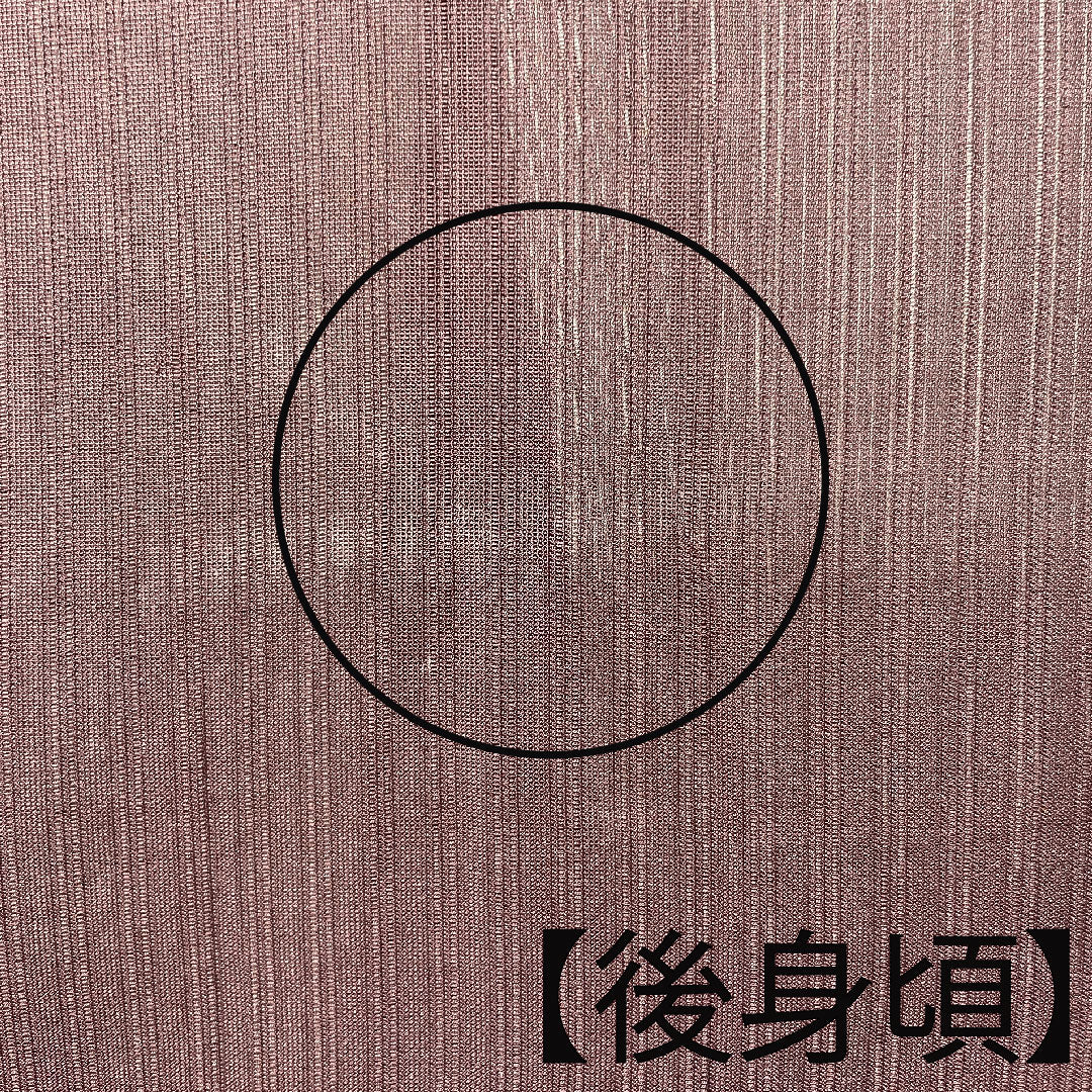 夏物 正絹 色無地 身丈160cm 裄丈60cm 紫土色（しどいろ） 竪絽（たてろ） 絽 Aランク 紫系 1132001093420