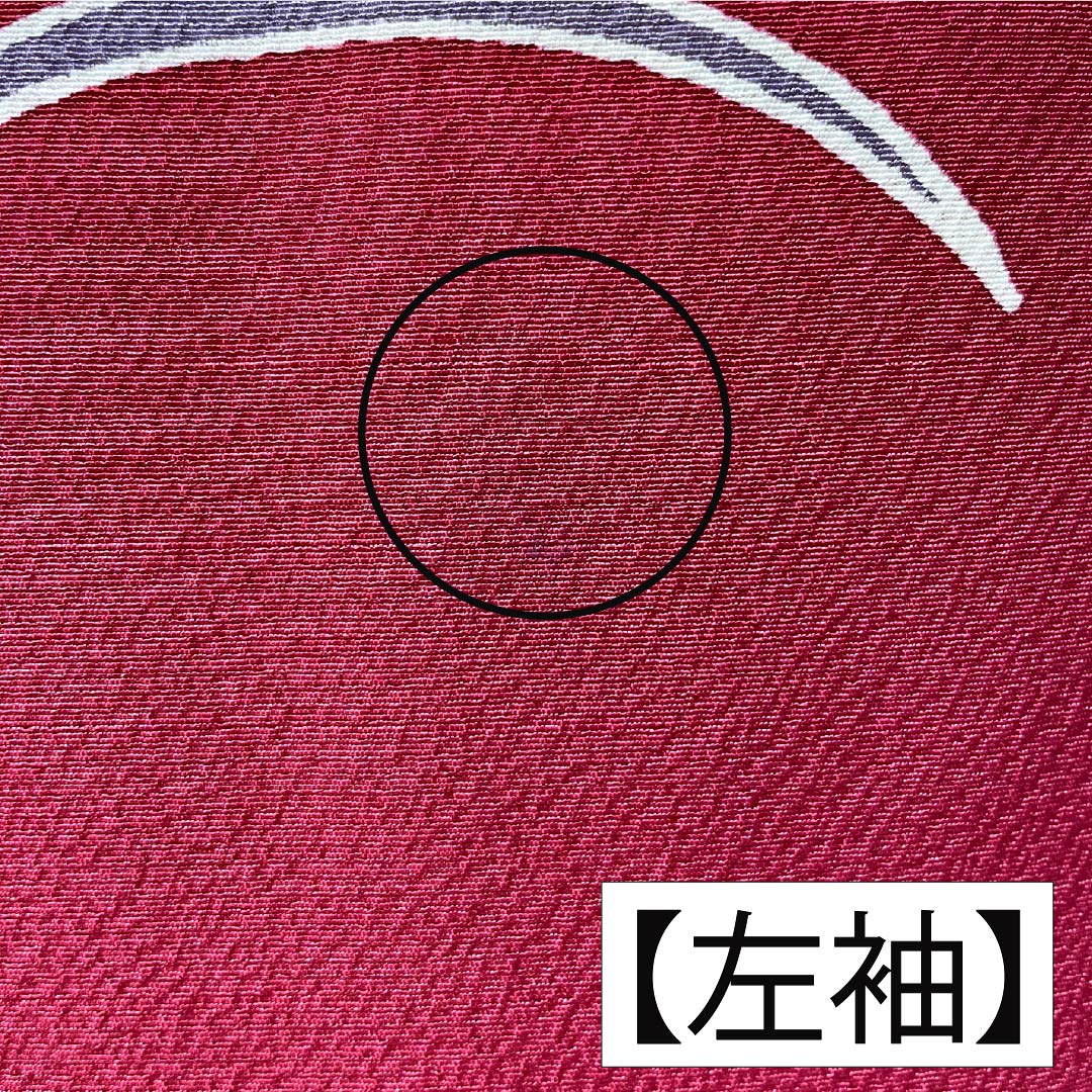 振袖 正絹 Aランク 身丈158.5cm 裄丈67cm 袷 紅赤色（べにあかいろ） 京紅型 吉祥文様 蝶 菖蒲 橘 赤系 1113002283312