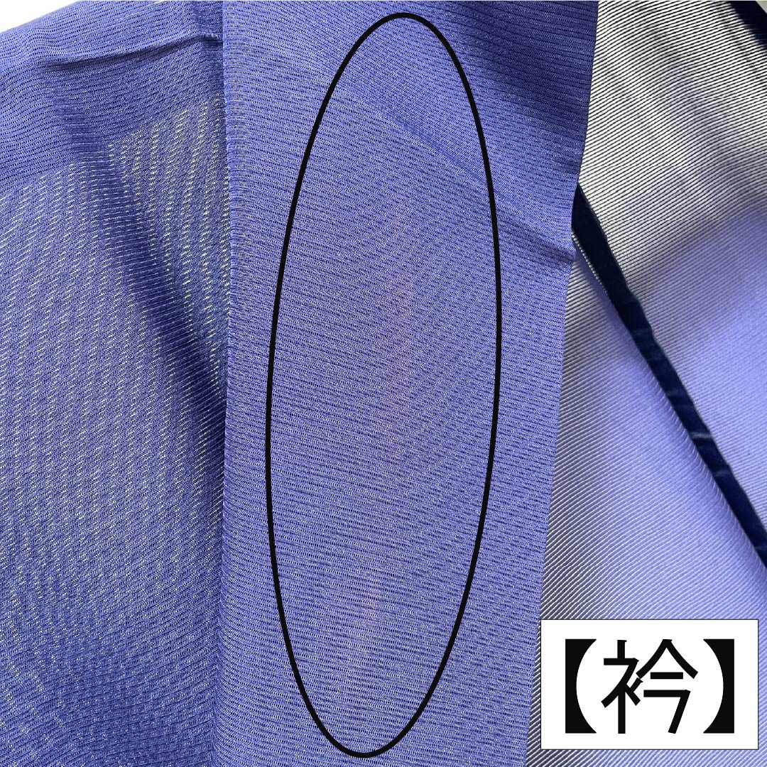 夏物 正絹 訪問着 Aランク 身丈158.5cm 裄丈62.5cm 濃桔梗色（こいききょういろ） 付下げ 秋草模様 蛍 絽 紺系 1132004703318