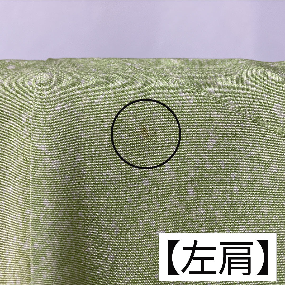 訪問着 正絹 袷 身丈158.5cm 裄丈62.5cm 黄緑色（きみどりいろ） 草花模様 濡れ描き友禅 Aランク 緑系 1112005763319