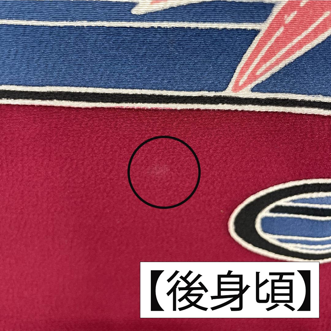 振袖 正絹 Aランク 身丈167cm 裄丈69cm 袷 生成り色（きなりいろ） 型染 吉祥文様 松 菖蒲 白系 1113002273511