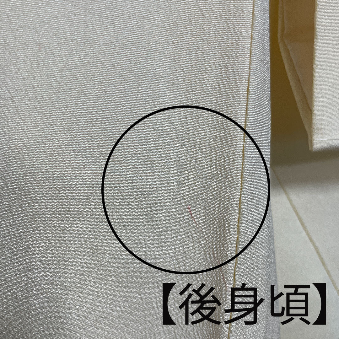 訪問着 袷 身丈159cm 裄丈62.5cm 鳥の子色 京紅型 草花模様 正絹 Aランク クリーム系 1112001943315