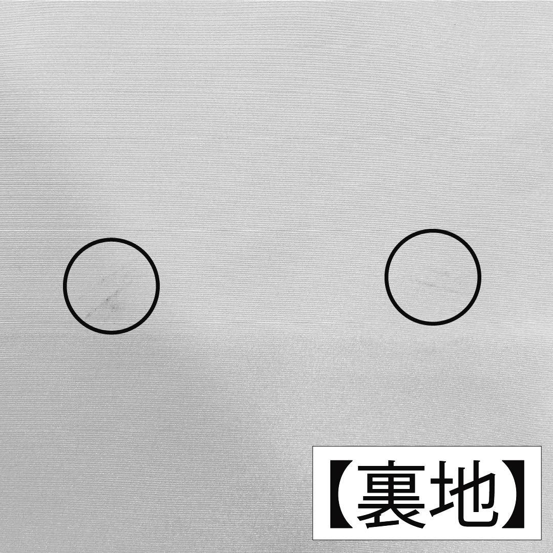 小紋 ポリエステル 身丈157cm 裄丈64.5cm 袷 ボカシ染 洗える着物 蝶 Aランク グラデーション系 1115005033399