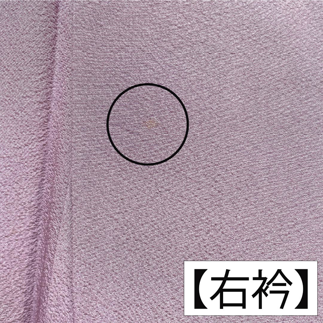 色留袖 正絹 Aランク 身丈152.5cm 裄丈68cm 袷 薄紫色（うすむらさきいろ） 蘇州刺繡 吹寄せ 一つ紋 丸に剣花菱 縫い紋 一つ紋 紫系 1111002223220