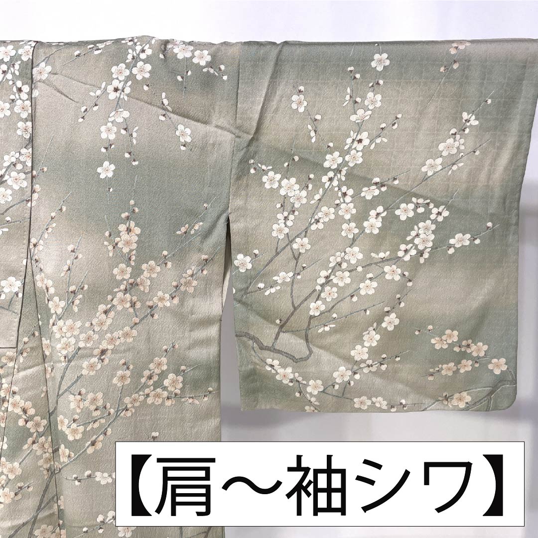 Komon Polyester S Rank Length 161cm (63.4in) Sleeve-to-sleeve 66cm (26.0in) Unlined Enshū-nezumi (Muted Gray) Stenciled Dyeing Gradated Dyeing Cherry Blossom Washable Kimono Beige-tone 1115007802425