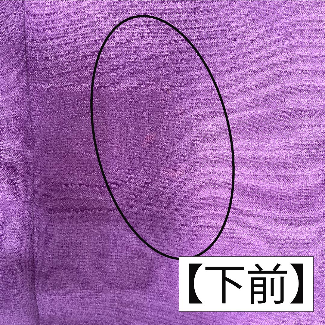 振袖 正絹 Aランク 身丈169cm 裄丈69cm 袷 似紫色（にせむらさきいろ） 京友禅 草花 紫系 1113002153520