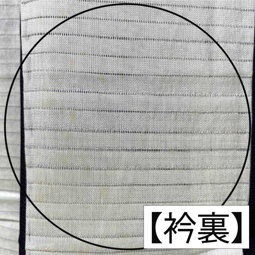 夏物 正絹 色無地 Aランク 身丈160.5cm 裄丈62.5cm 紫烏色（しうしょく） 木の葉 絽 紫系 1132004753420