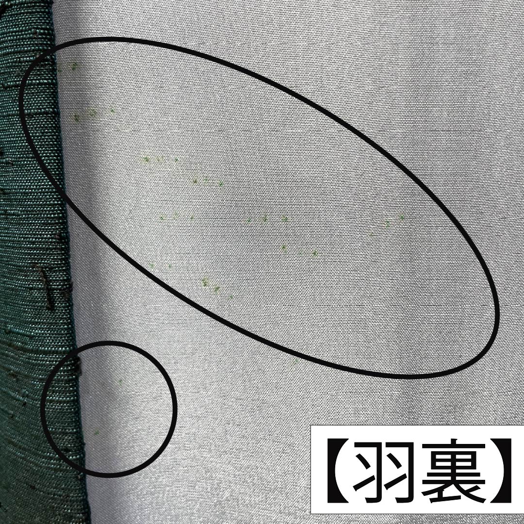 男物 正絹 Aランク 身丈cm 裄丈cm  藍鉄色（あいてついろ） ひげ紬 緑系 1119001123119