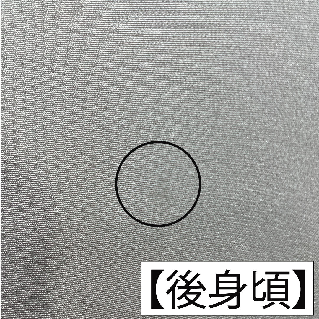 色留袖 正絹 身丈161cm 裄丈63cm 袷 薄鼠色（うすねずいろ） 京友禅 波 帆掛け船 一つ紋 五三桐 クイーンパール加工 Aランク グレー系 1111001433422